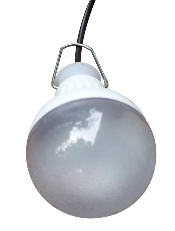 5W LED DC Light (Bulb Model) - Image 2